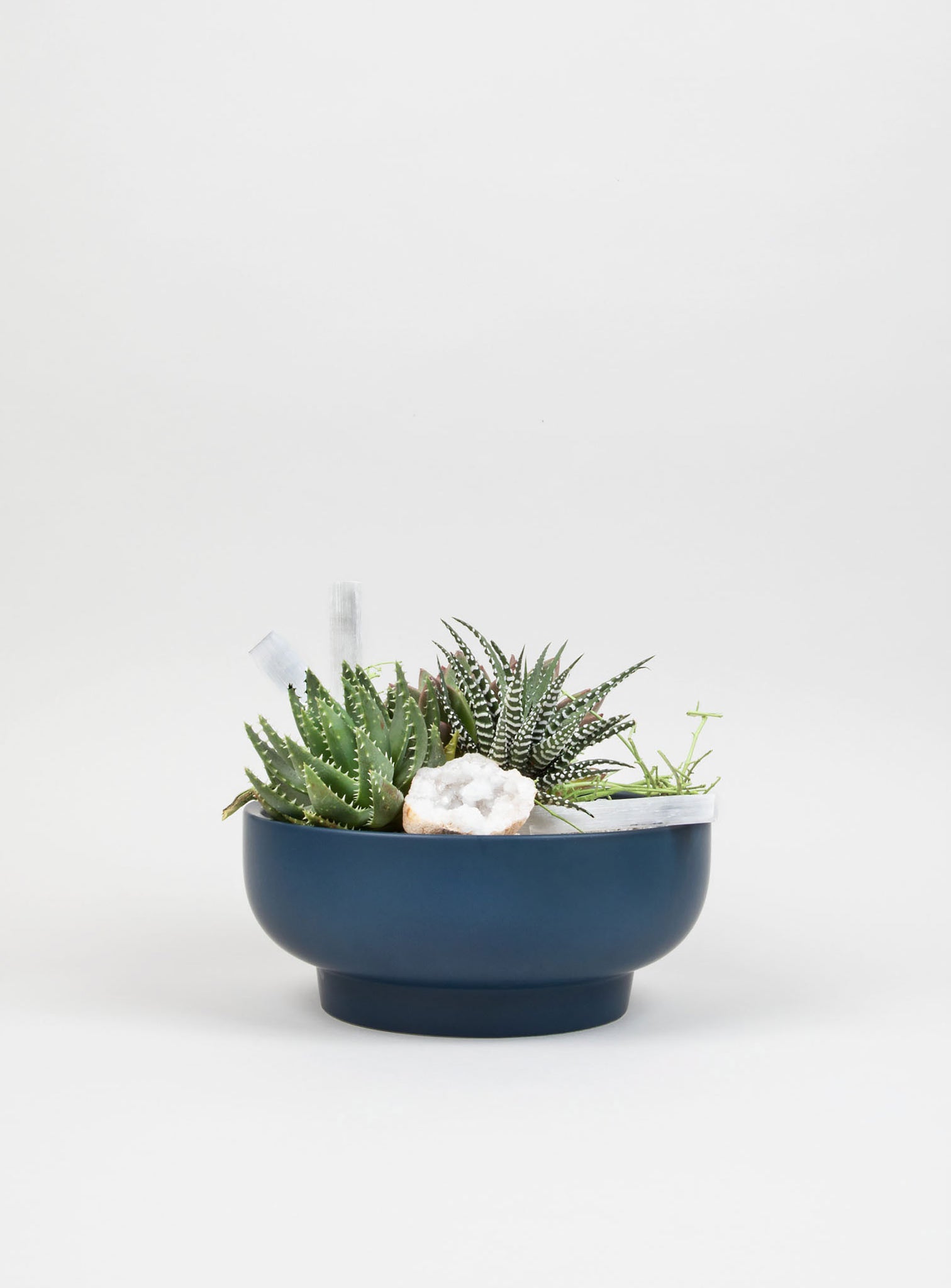 Modern Succulent Statement