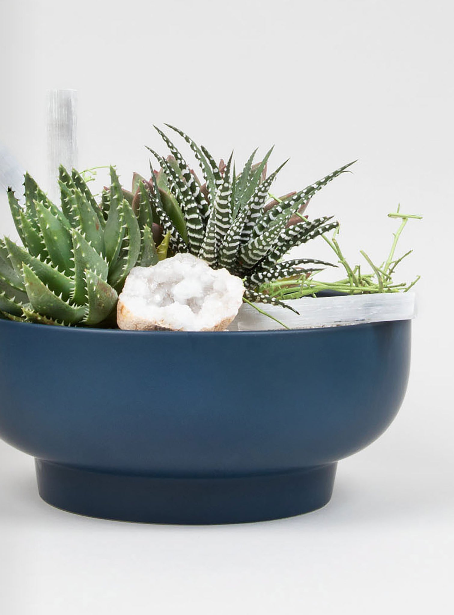 Modern Succulent Statement