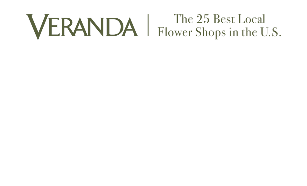 Avant Garden