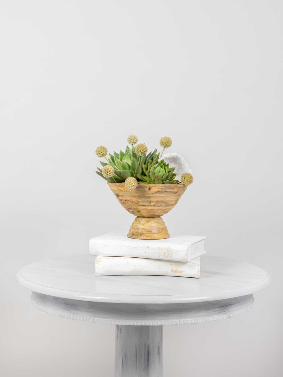 Rustic Succulent Statement