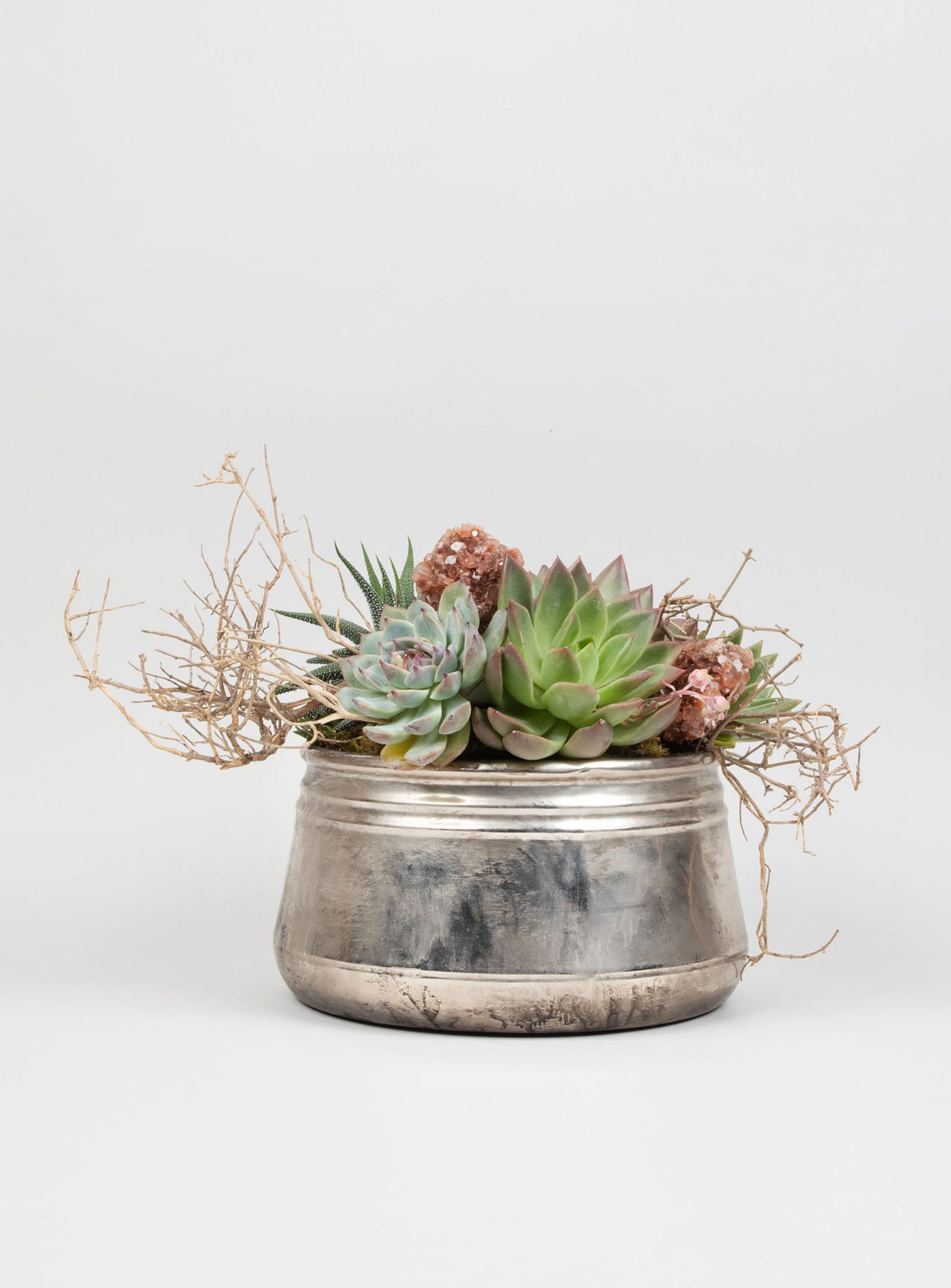 Earthy Succulent Statement