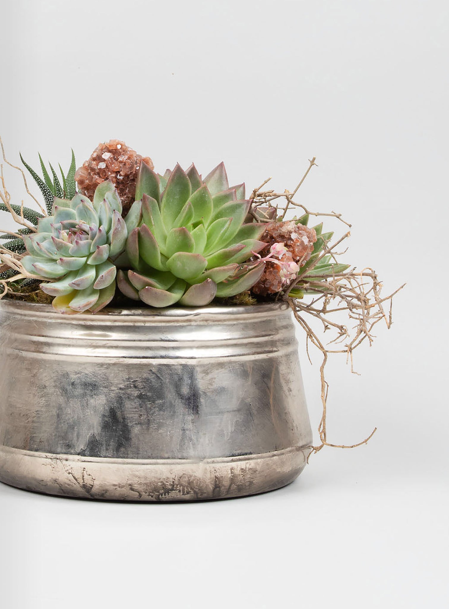 Earthy Succulent Statement