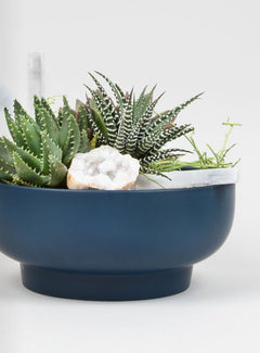 Modern Succulent Statement