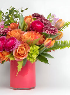 Bright And Bold