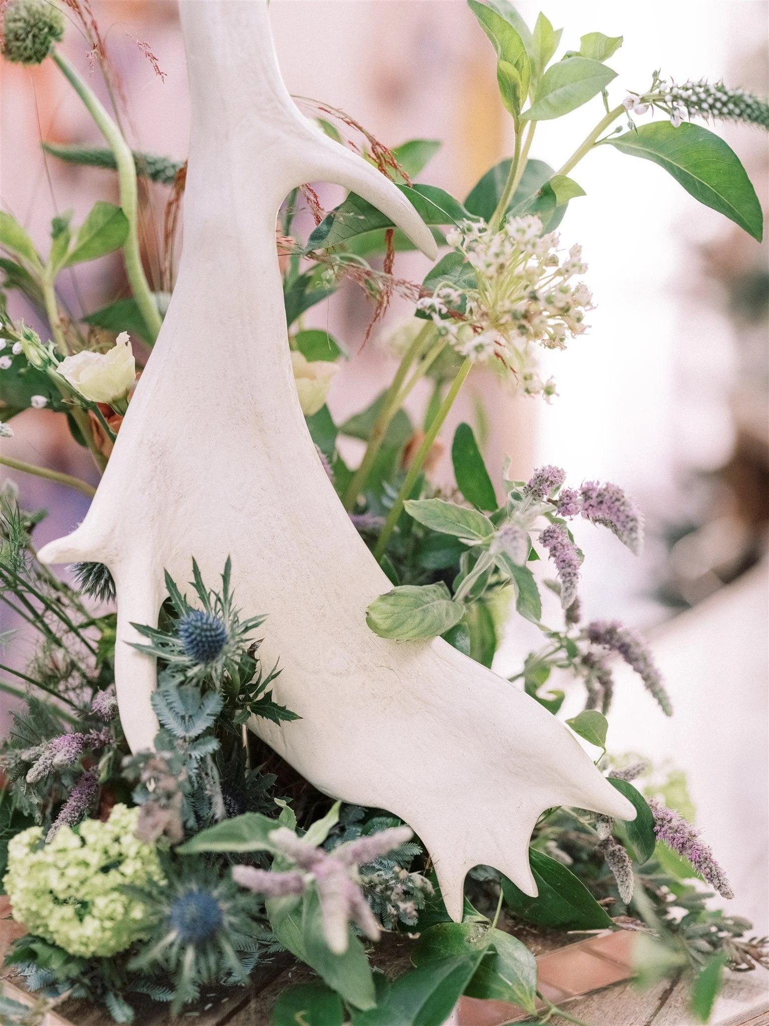 Pale pink trumpet flowers among a lush floral arrangement